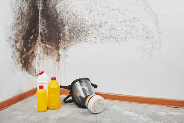 Best Emergency Mold Removal  in Azle, TX